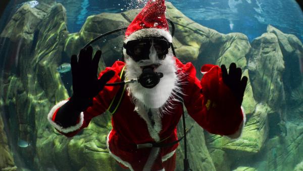 Άγιος Βασίλης ενυδρείο