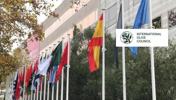 Γεωπονικού Πανεπιστημίου και του Διεθνούς Συμβουλίου Ελαιοκομίας