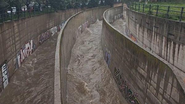 ποδονίφτης πλυμμήρα