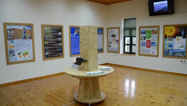 μονοδενδρι