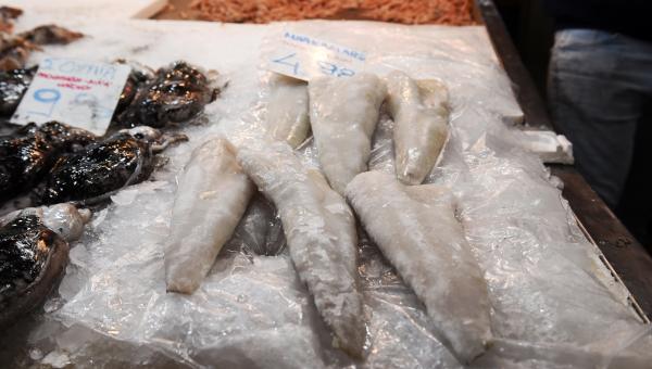 μπακαλιάρος