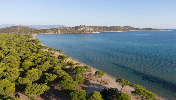 Παραλία Σχοινιάς στην Αττική