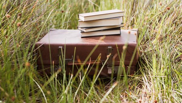 αναπληρωτες