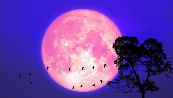 Ροζ πανσέληνος, φεγγάρι
