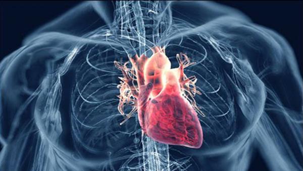 kardiageiakes-pathiseis-kardia_252863_128338.jpg