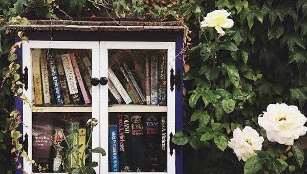 παράθυρο βιβλία φύση πράσινο τριαντάφυλλα