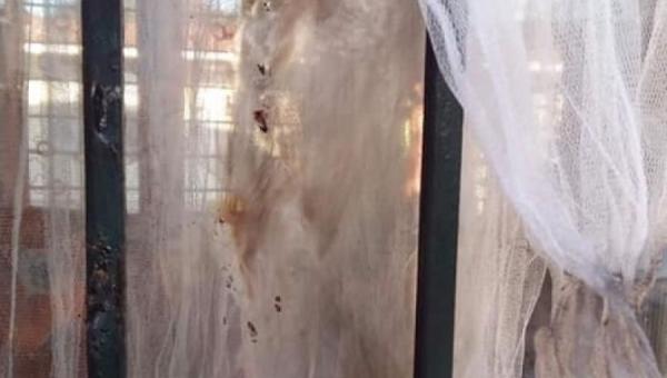 Βανδάλισαν νηπιαγωγείο στο Μελλισοχώρι Θεσσαλονίκης (Φωτογραφίες)