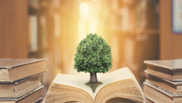 Μεταπτυχιακό: Περιβαλλοντική Εκπαίδευση του Π.Αιγαίου