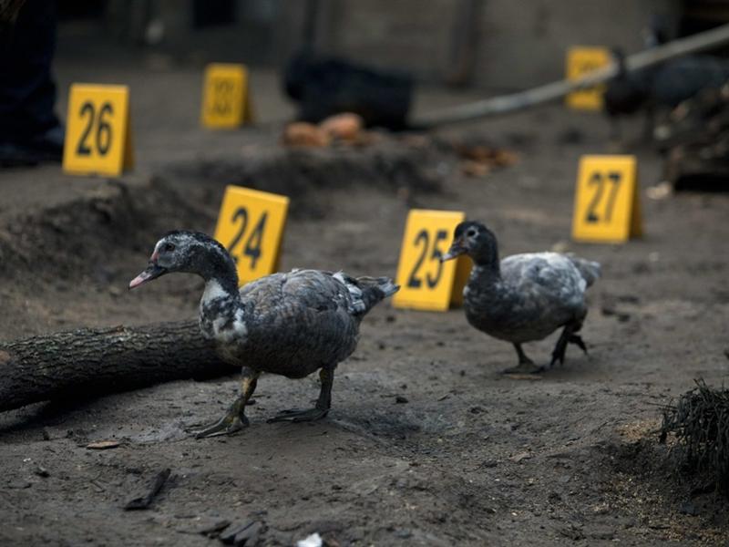 121009-guatemala-murder-12p-03.photoblog900_0.jpg