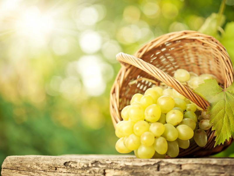 148497_grapes-bunch-basket-leaf-bokeh-the-table_p.jpg