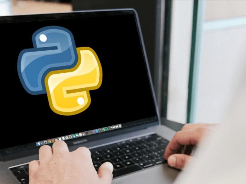 python programmer