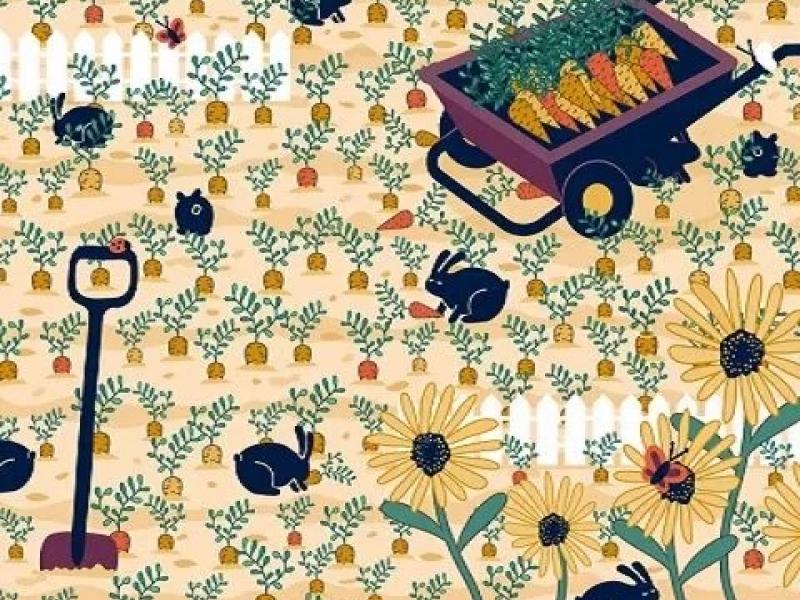 grifos daxtylidi.jpg