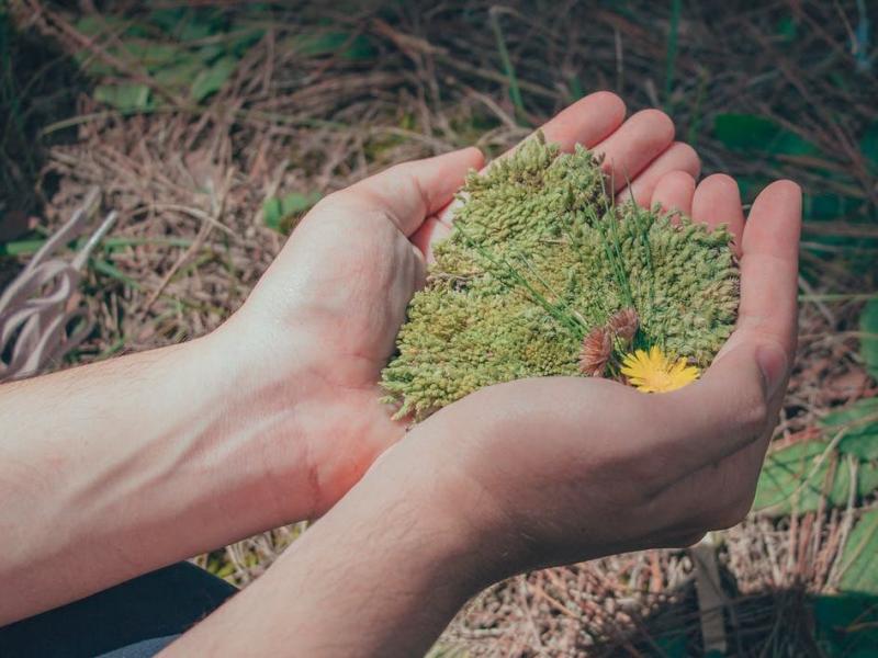 περιβάλλον