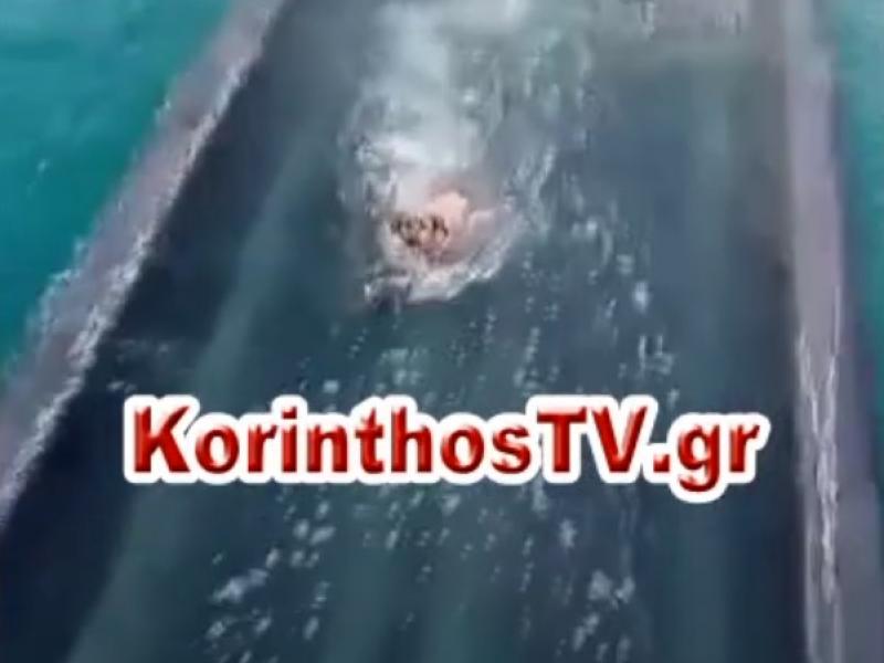 ΣΚΥΛΑΚΙ ΣΤΟΝ ΙΣΘΜΟ.jpg