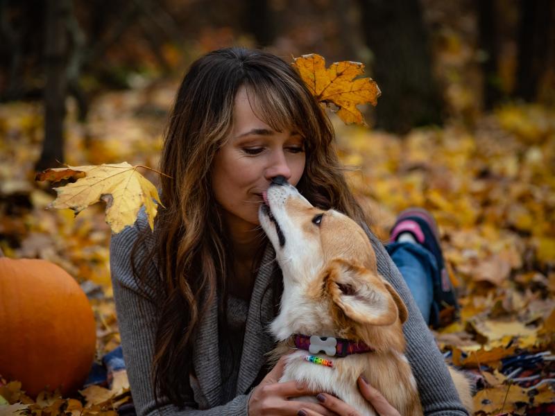 σκύλος φιλί