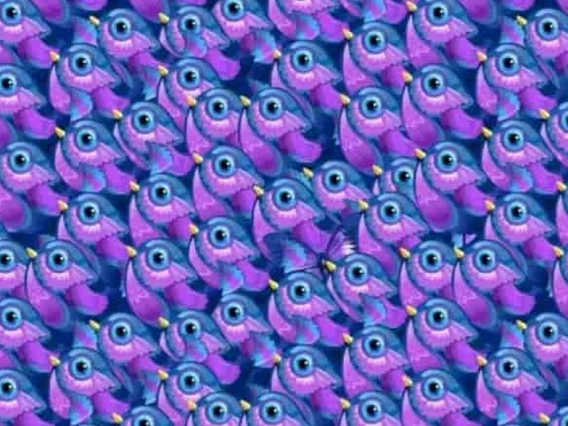 Οφθαλμαπάτη με πεταλούδες