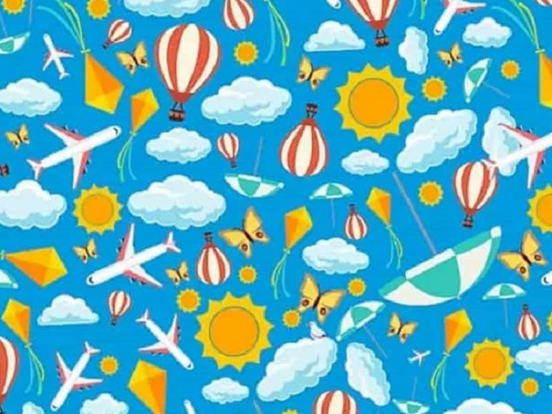 Οφθαλμαπάτη με πτηνό