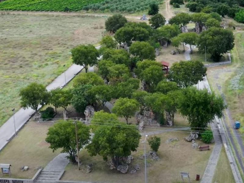 Νυμφόπετρα