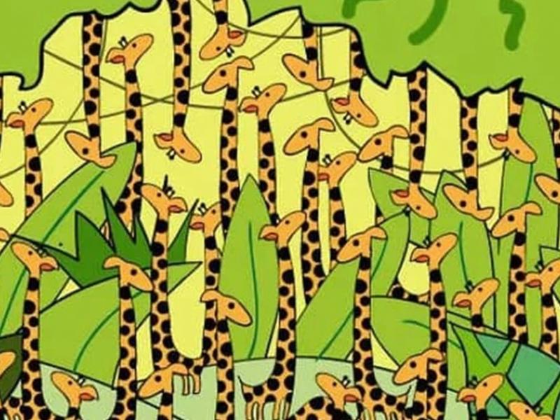 Οφθαλμαπάτη με φίδι