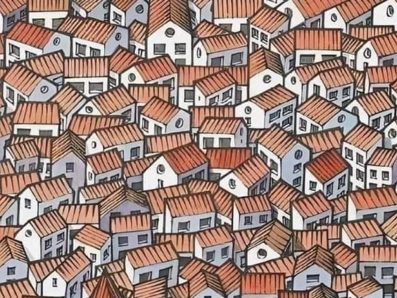 Οφθαλμαπάτη με γάτα