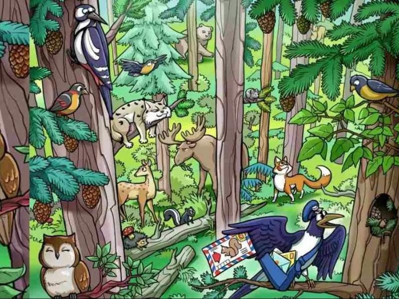 Οπτική ψευδαίσθηση με σκίουρο