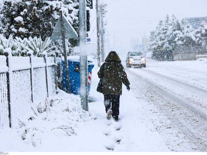 ΟΛΜΕ - ΔΟΕ: Σχετικά με την οδηγία του ΥΠΑΙΘ για τηλεκπαίδευση σήμερα |  Alfavita