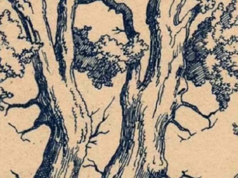 Οφθαλμαπάτη με πρόσωπα