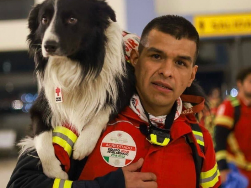 σκύλος ΕΜΑΚ