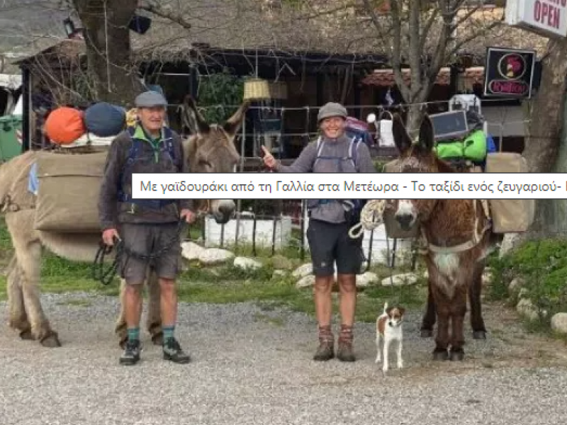 γαϊδουράκι