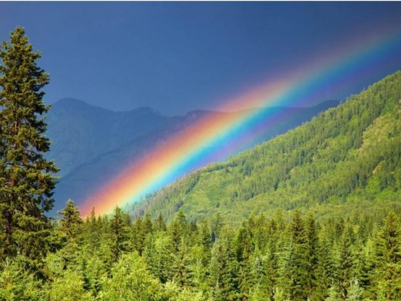 Ουράνιο τόξο