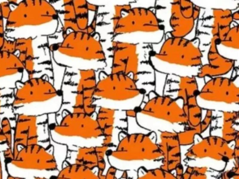 Οφθαλμαπάτη με τίγρεις