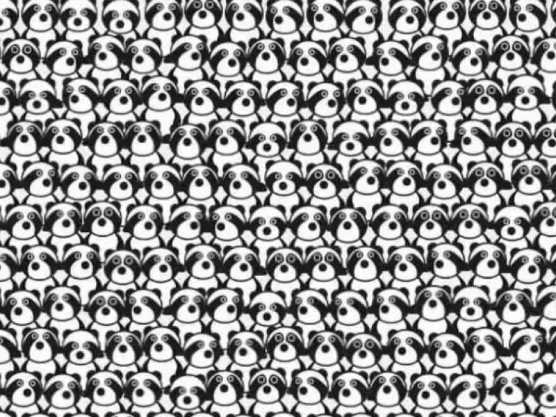 Οφθαλμαπάτη με πάντα