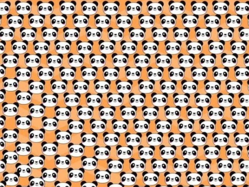 Οφθαλμαπάτη με πάντα