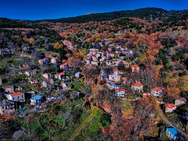 Παλαιά Βίνιανη