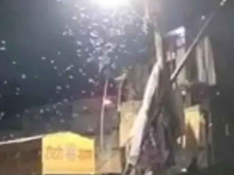 «Βροχή» από λευκά σκουλήκια στην Ινδία