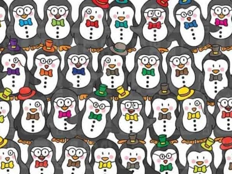 Οφθαλμαπάτη με τους πιγκουίνους