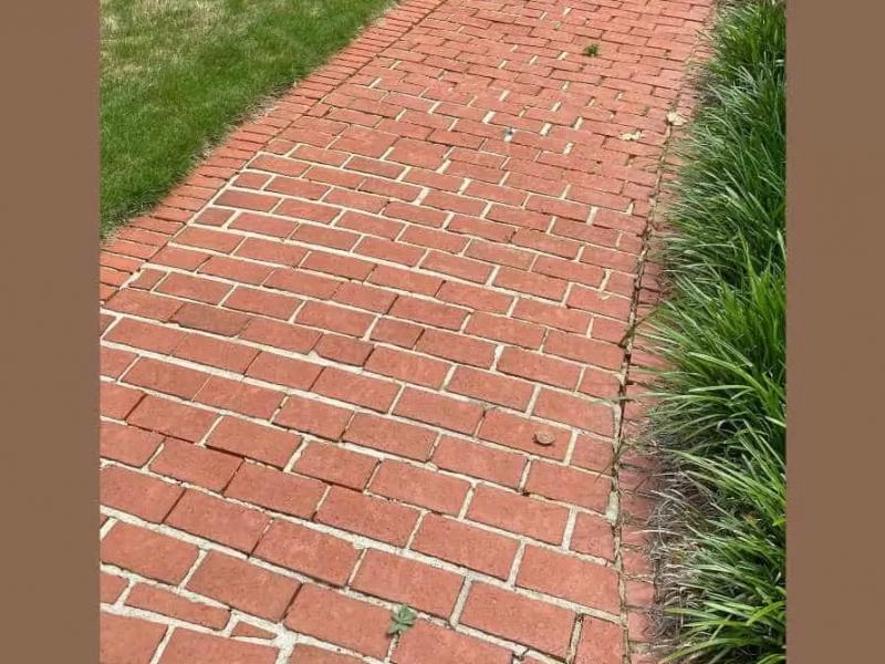 Οφθαλμαπάτη με χελώνα