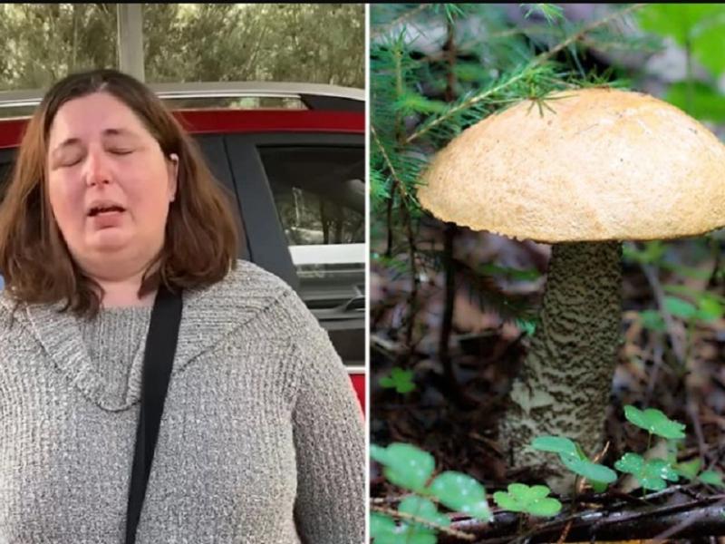 Γυναίκα ετοίμασε γεύμα με μανιτάρια στους συγγενείς της – Τρεις πέθαναν