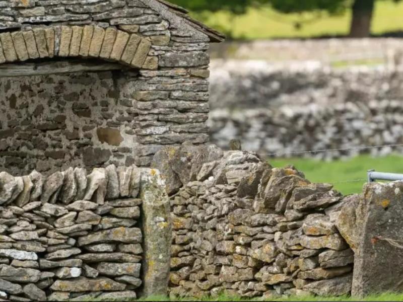 Οφθαλμαπάτη με κουκουβάγια