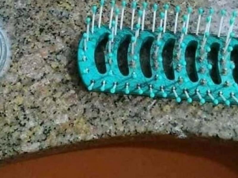 Οφθαλμαπάτη με σαύρα