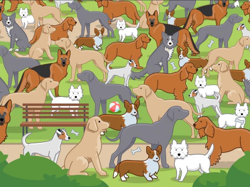 Οφθαλμαπάτη με σκύλους