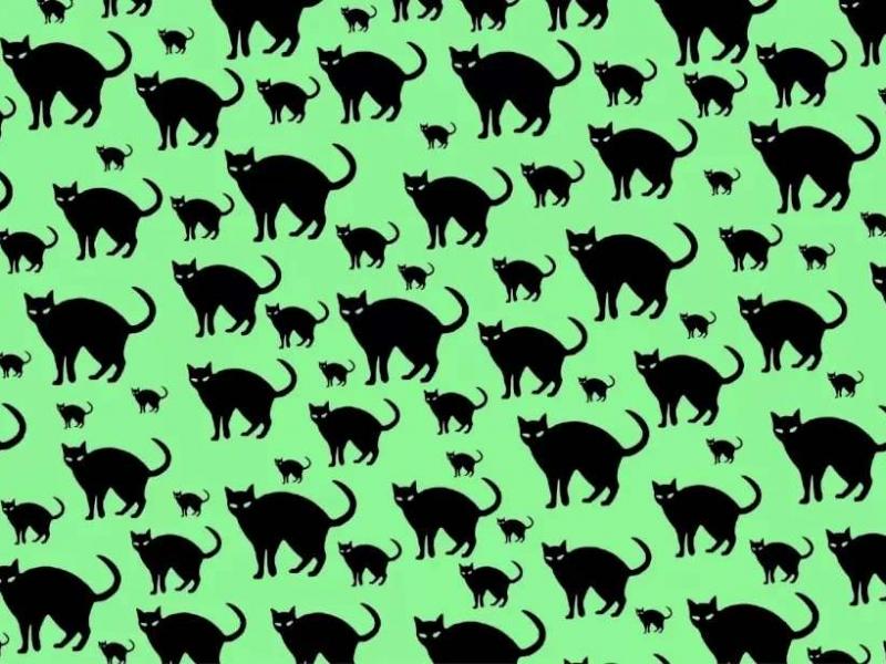 Οφθαλμαπάτη με ποντίκι