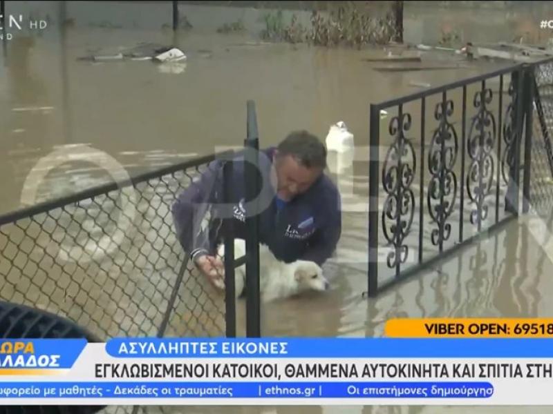 Η στιγμή που πρόεδρος χωριού σώζει σκυλάκι που έχει εγκλωβιστεί σε καγκελόπορτα