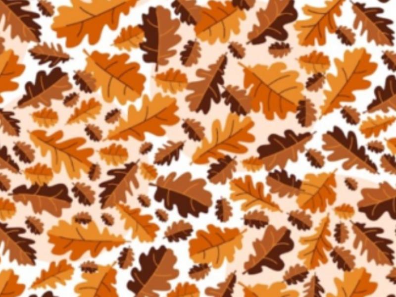 Οφθαλμαπάτη με φύλλα