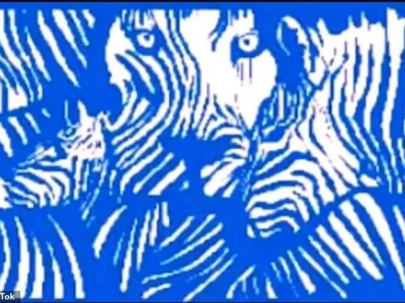 Οφθαλμαπάτη - τεστ