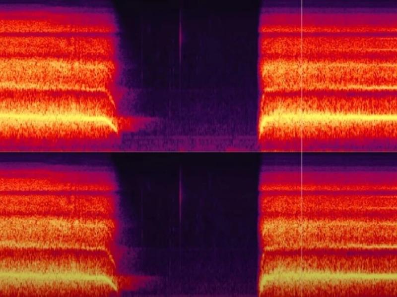 Τρομακτικός θόρυβος