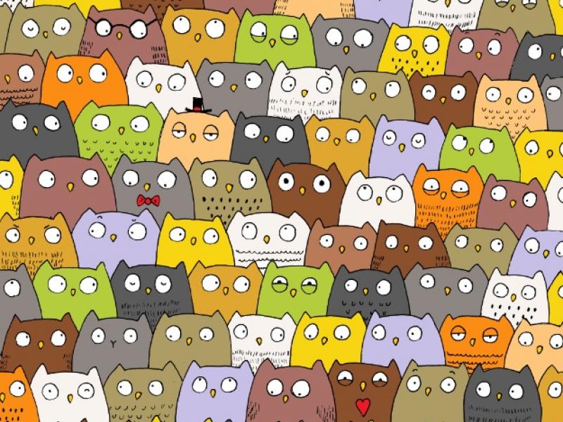 Οφθαλμαπάτη με γάτα