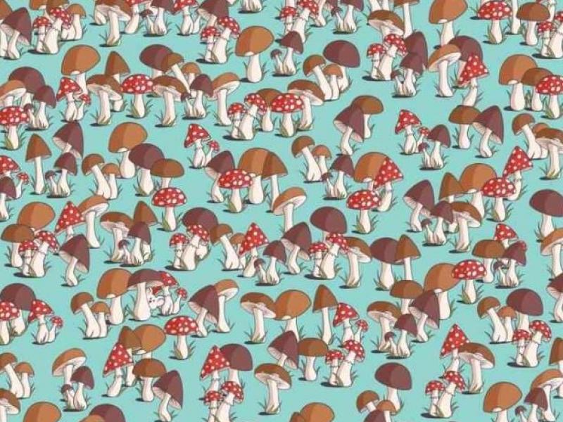 Οφθαλμαπάτη με ποντίκι