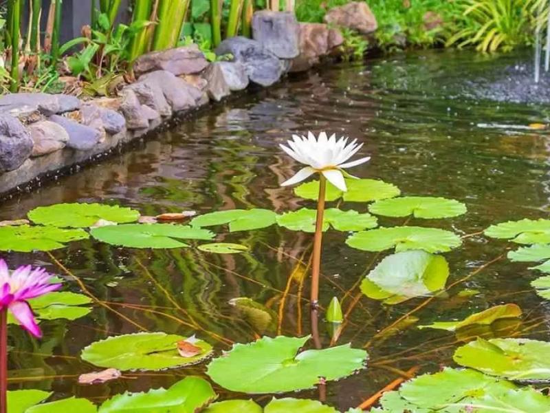 Οφθαλμαπάτη