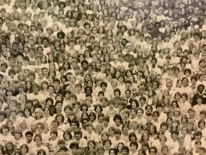 Οφθαλμαπάτη με το κρυμμένο ζώο